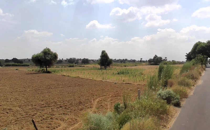 Dinod, Haryana 127111, India preview 2