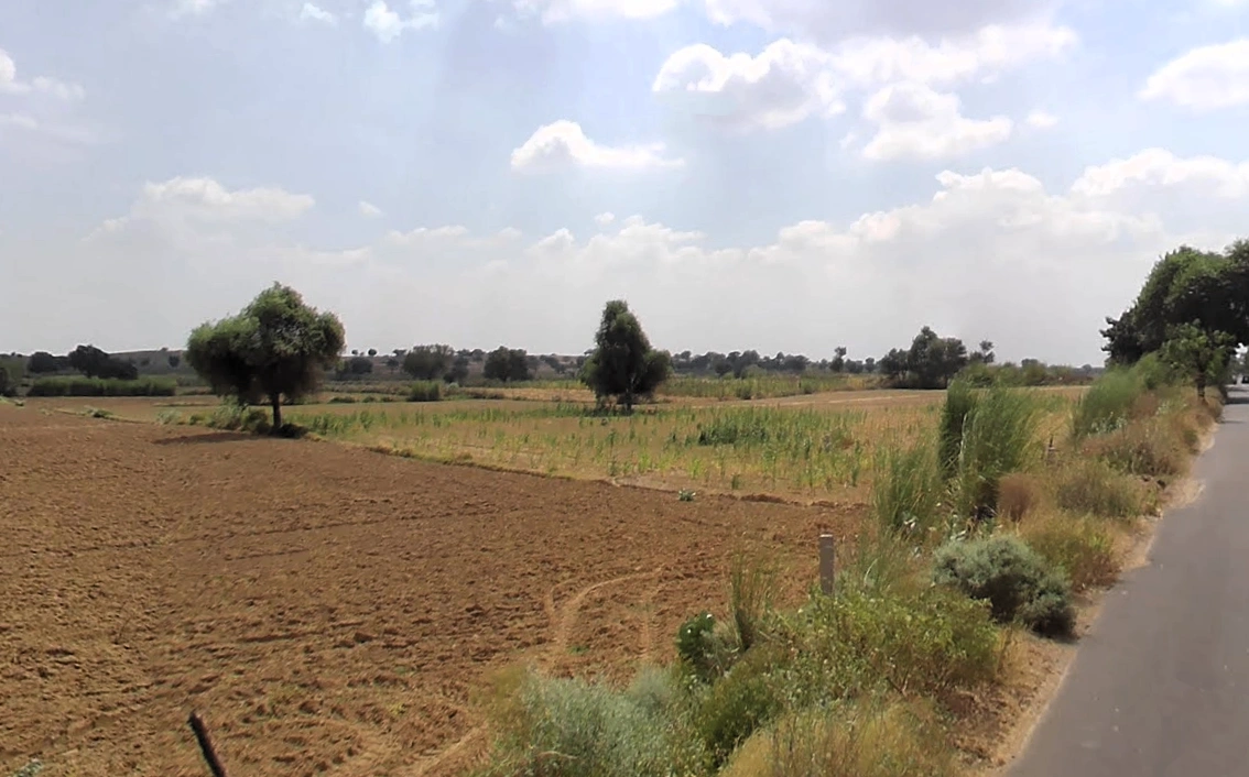 Dinod, Haryana 127111, India