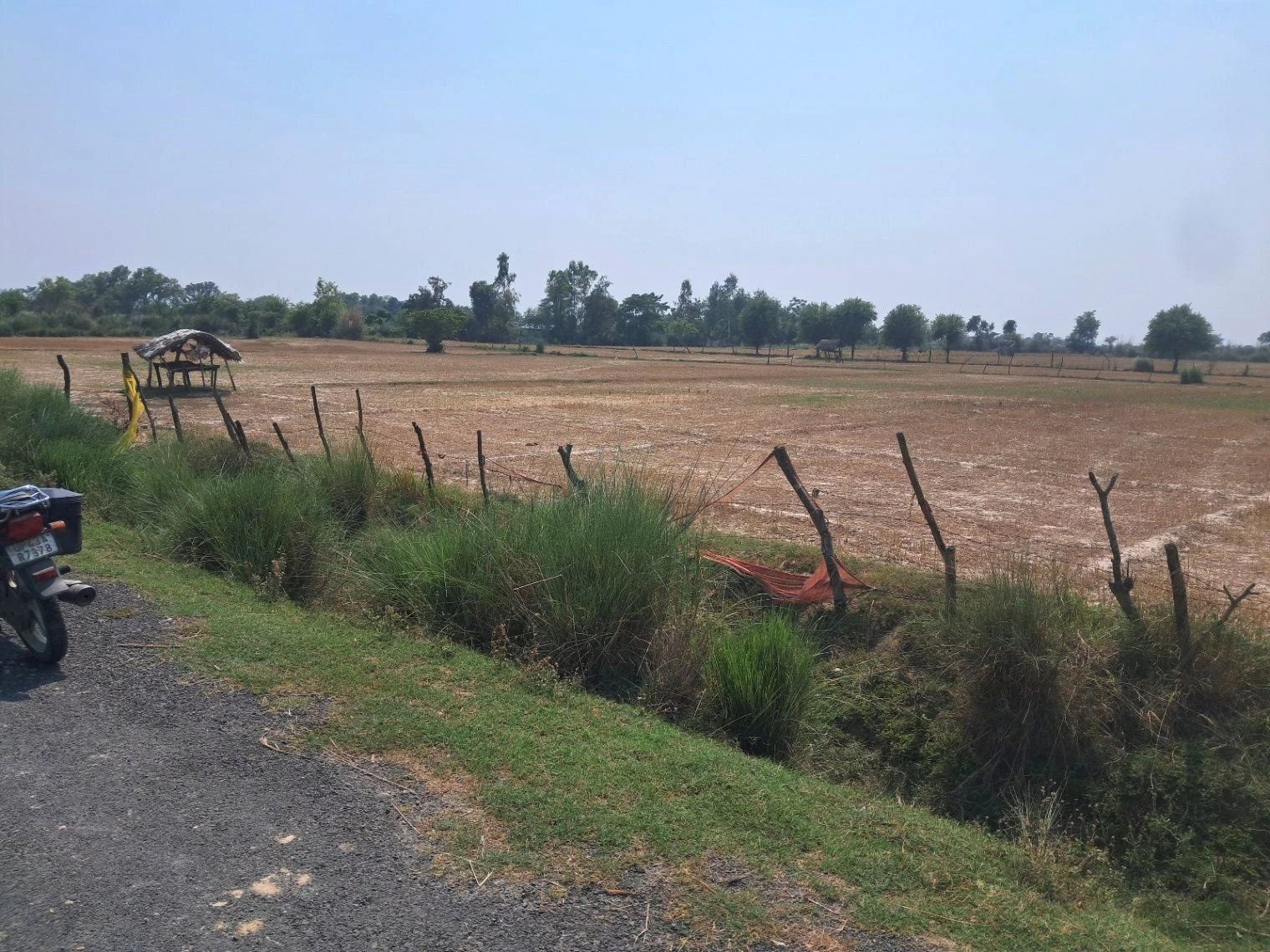 M4CQ+6X Naipura, Uttar Pradesh, India