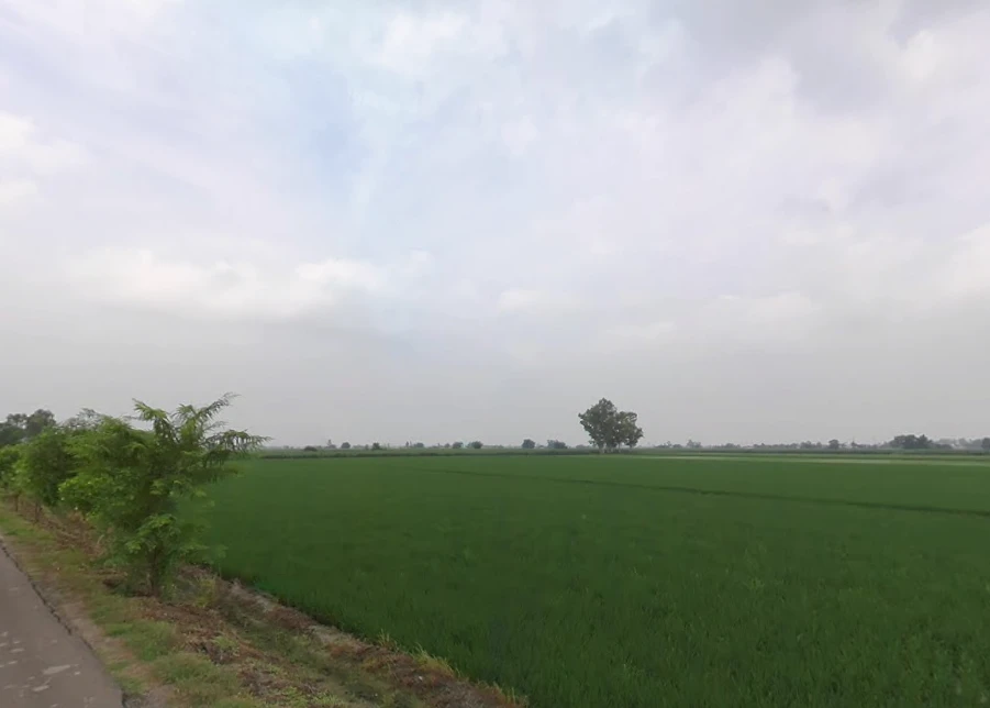 Zirakpur, Punjab, India