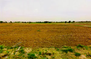 Pataudi, Haryana 122503, India preview 3