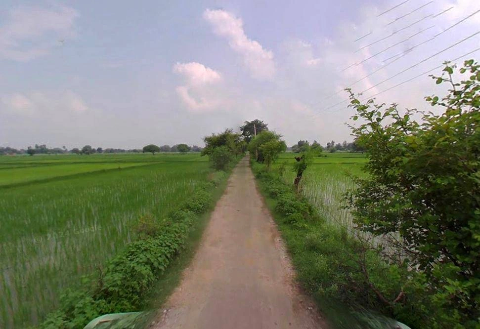 Rohtak, Haryana, India