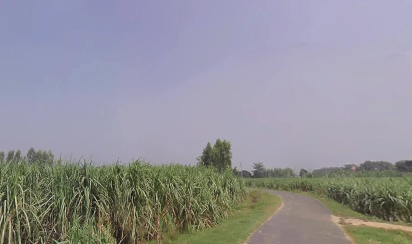 Jansath, Uttar Pradesh 251314, India