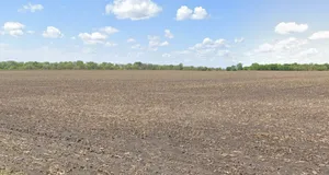 Musahari, Madhya Pradesh 475220, India preview 2