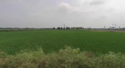 Bilsanda, Uttar Pradesh 262202, India preview 3