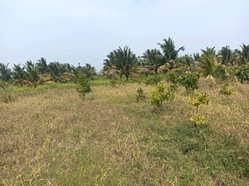 Sira, Karnataka 572137, India