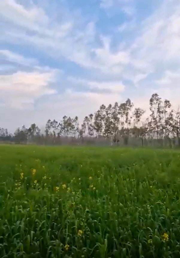 Sarangpur, Hisar, Haryana, India
