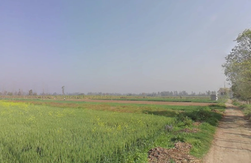 Phalawda Rural, Uttar Pradesh 250401, India