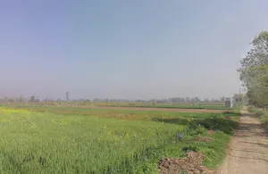 Phalawda Rural, Uttar Pradesh 250401, India preview 2