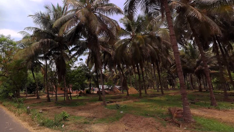 203, Palakkad - Koduvayur - Meenakshipuram Hwy, Meenakshipuram, Tamil Nadu 642103, India preview 3