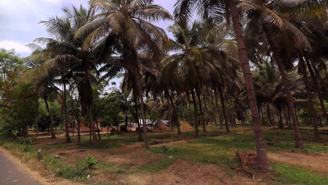 203, Palakkad - Koduvayur - Meenakshipuram Hwy, Meenakshipuram, Tamil Nadu 642103, India