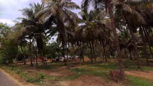 203, Palakkad - Koduvayur - Meenakshipuram Hwy, Meenakshipuram, Tamil Nadu 642103, India preview 3