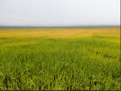 Sahabad, Madhya Pradesh 451228, India preview 3