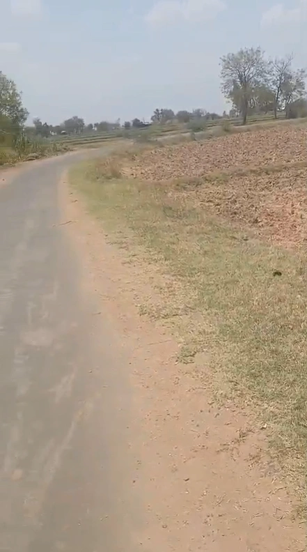 8JF4+QW5, Sikar Rd, Sargoth, Rajasthan 332404, India