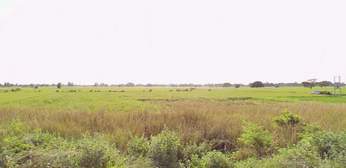 Indore, Madhya Pradesh, India