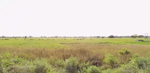 Indore, Madhya Pradesh, India preview 2