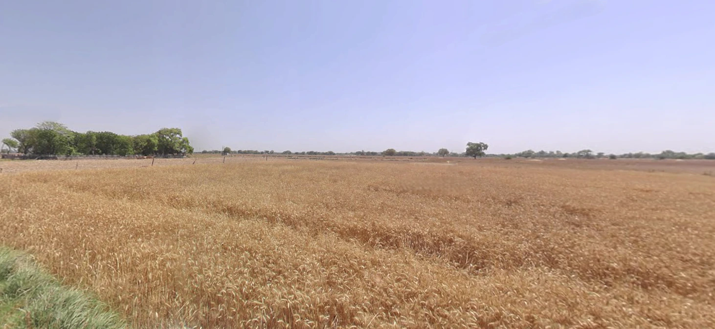 Hansalpur, Gujarat 382150, India