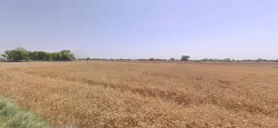 Hansalpur, Gujarat 382150, India preview 3