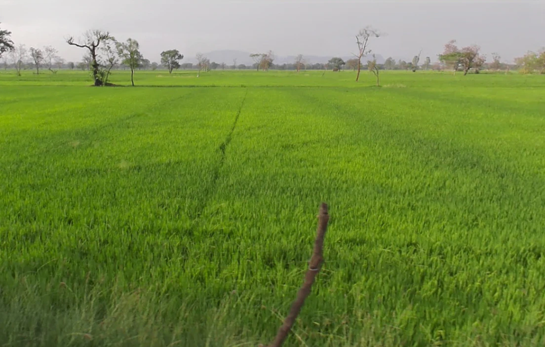 Jondhra, Chhattisgarh, India
