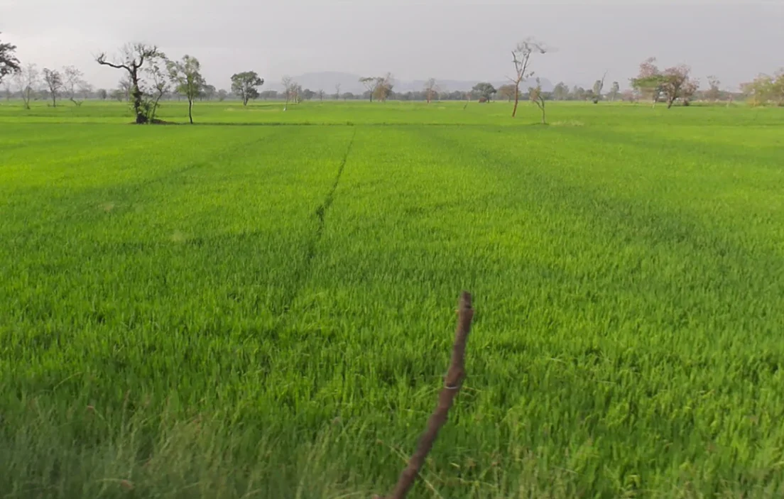 Jondhra, Chhattisgarh, India preview 3