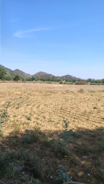 Sirsi, Uttar Pradesh 244301, India