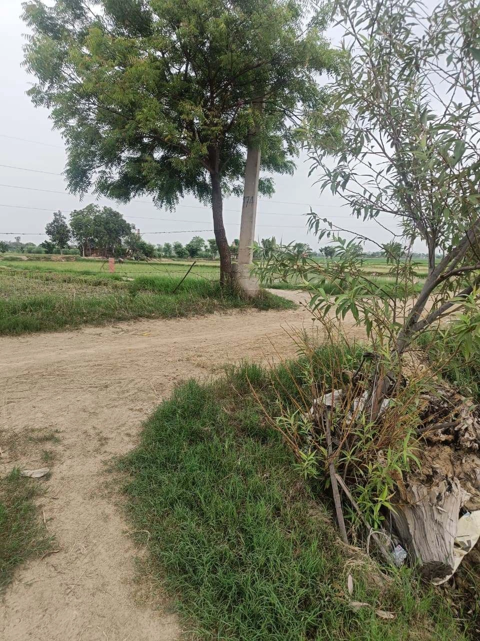 Baraka, Palwal, Uttar Pradesh, India