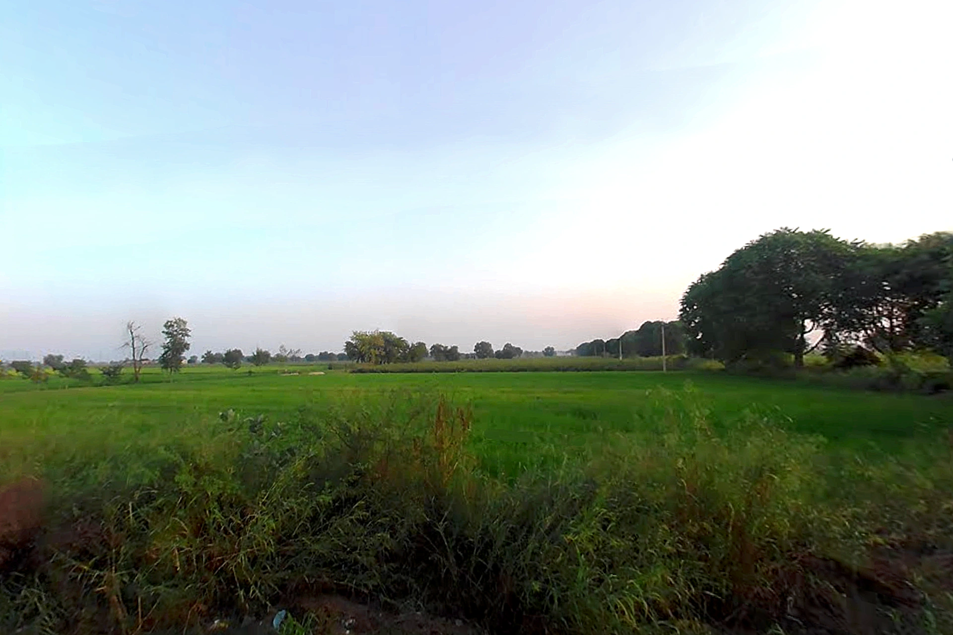 Agroha, Haryana 125047, India