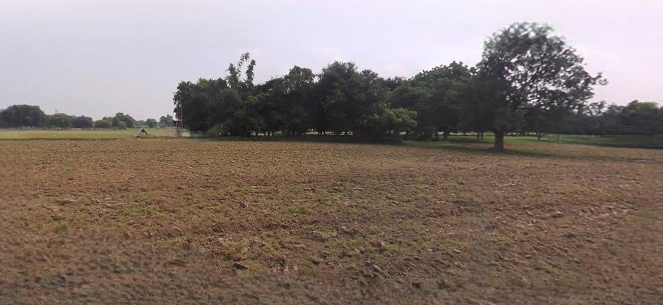 Asoha, Uttar Pradesh 209859, India