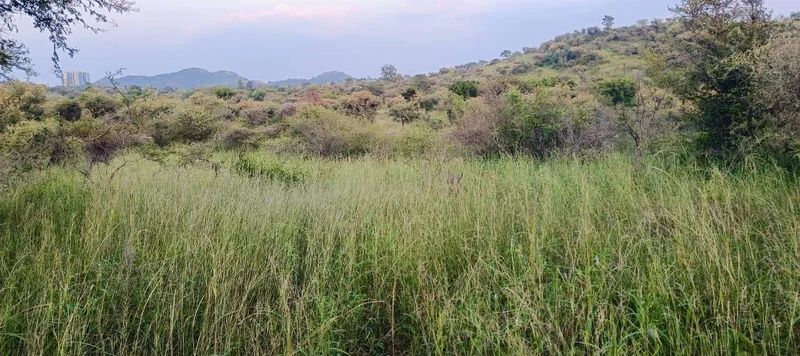 VQPH+QF Rabcha, Rajasthan, India preview 3