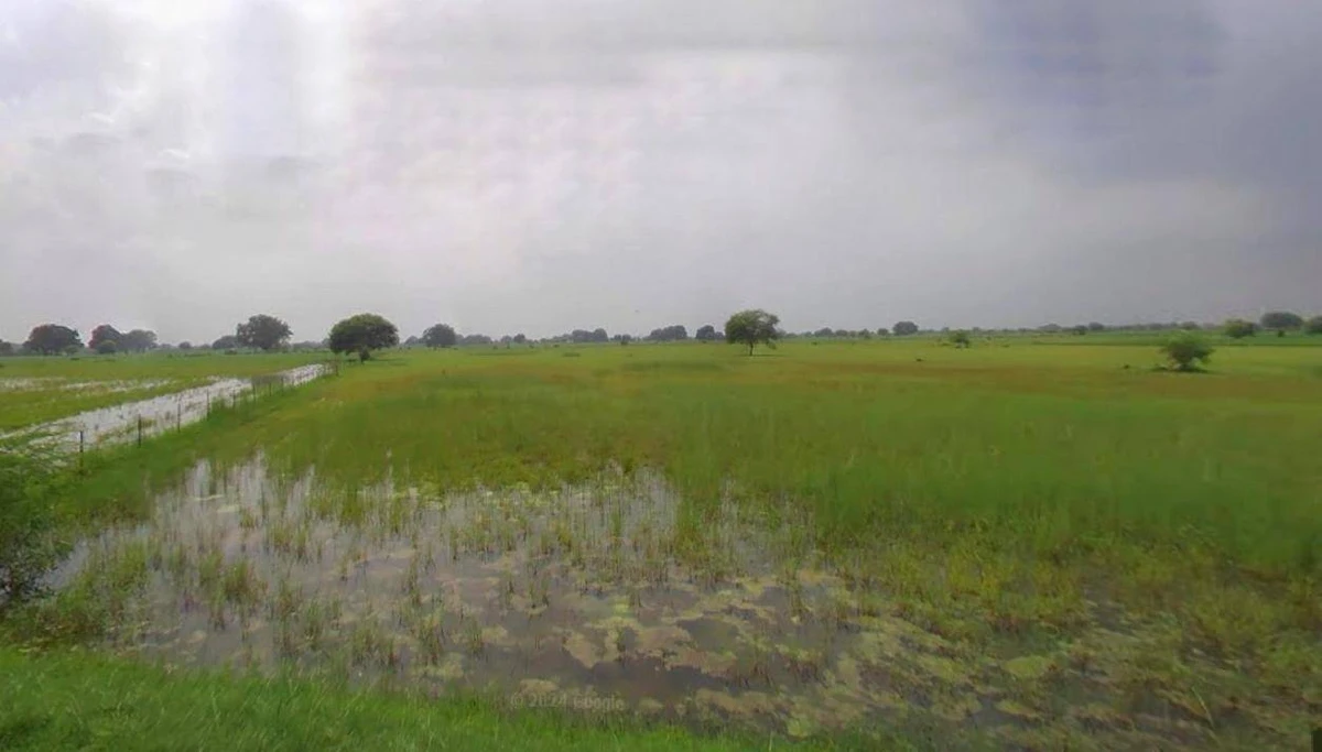 Lucknow, Uttar Pradesh, India