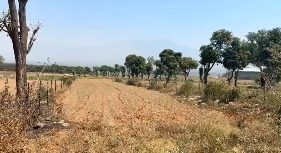 VX5W+J4R, Jaipur, Ramsar Palawala, Rajasthan, India