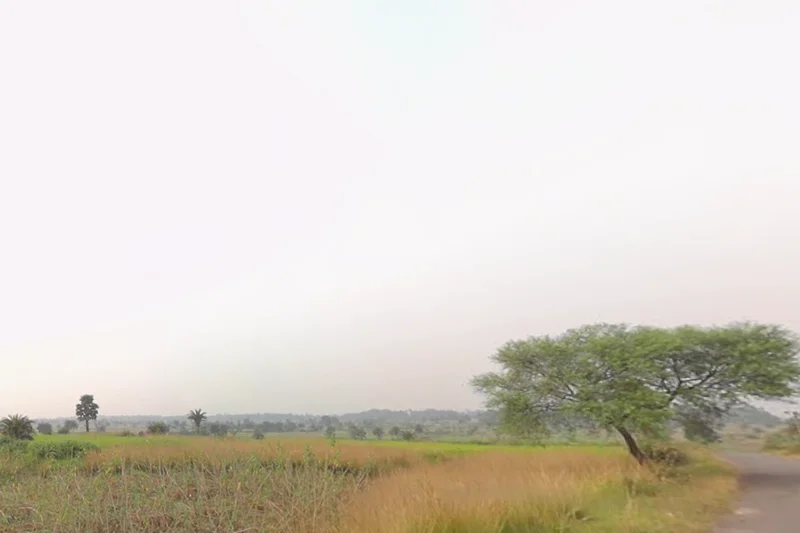 Susunia, West Bengal 722132, India preview 2