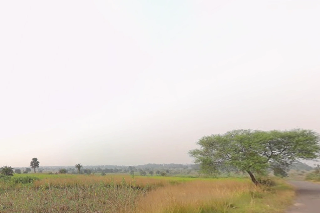 Susunia, West Bengal 722132, India