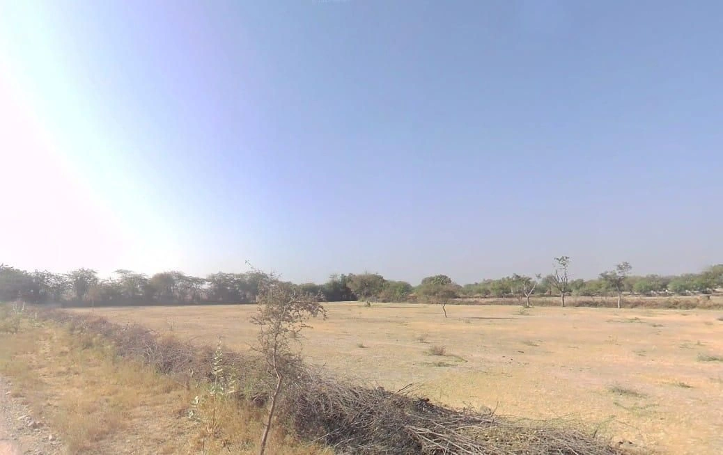 V5VM+XGF, Bandai, Rajasthan 306421, India