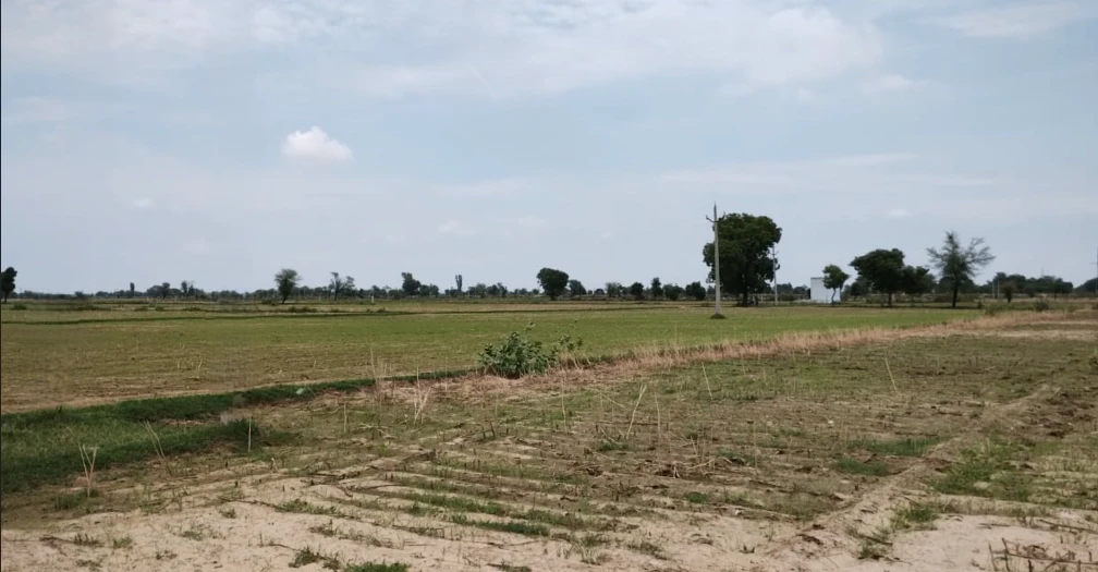 Balachaur, Punjab 144521, India