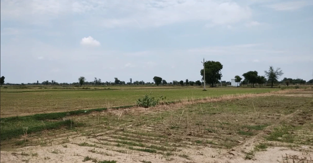 Balachaur, Punjab 144521, India