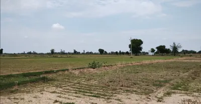 Balachaur, Punjab 144521, India preview 2