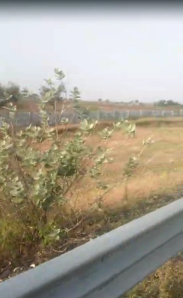 Rudauli, Uttar Pradesh
