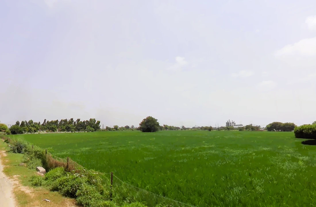 Batta, Haryana 136117, India