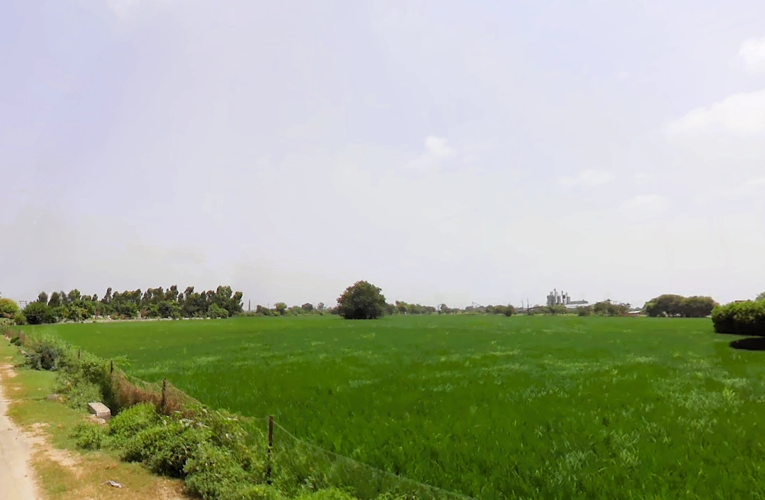 Batta, Haryana 136117, India