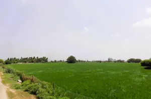 Batta, Haryana 136117, India preview 3