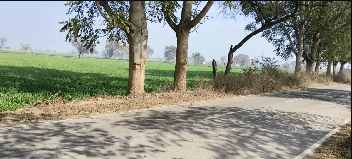 Mana, Chhattisgarh, India
