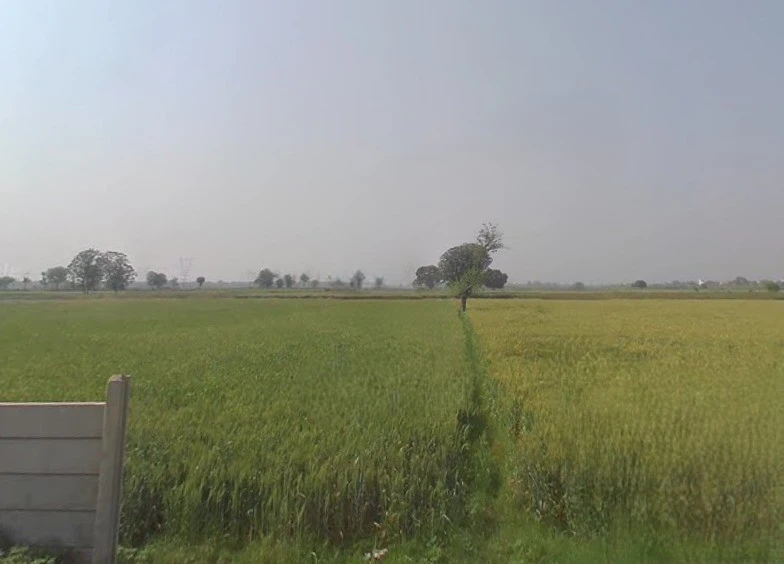 Hapur, Uttar Pradesh 245101, India