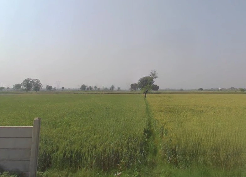 Hapur, Uttar Pradesh 245101, India