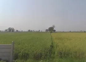 Hapur, Uttar Pradesh 245101, India preview 2