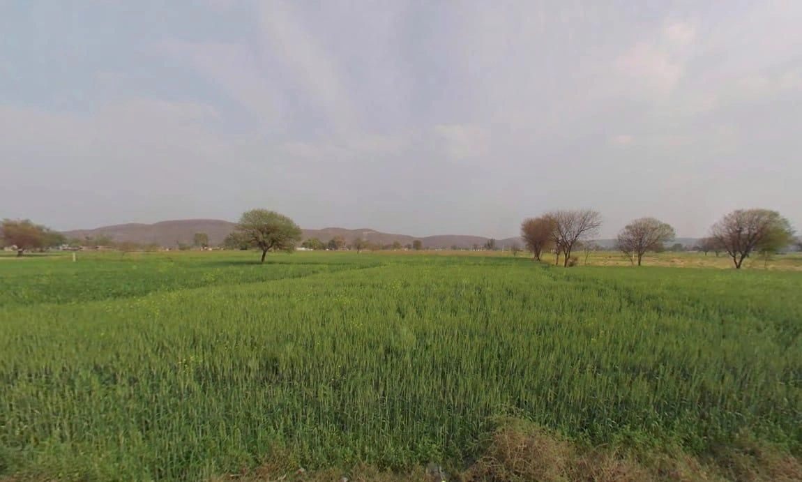 CQRH+H83, Khunteta Khurd, Rajasthan 301001, India preview 3