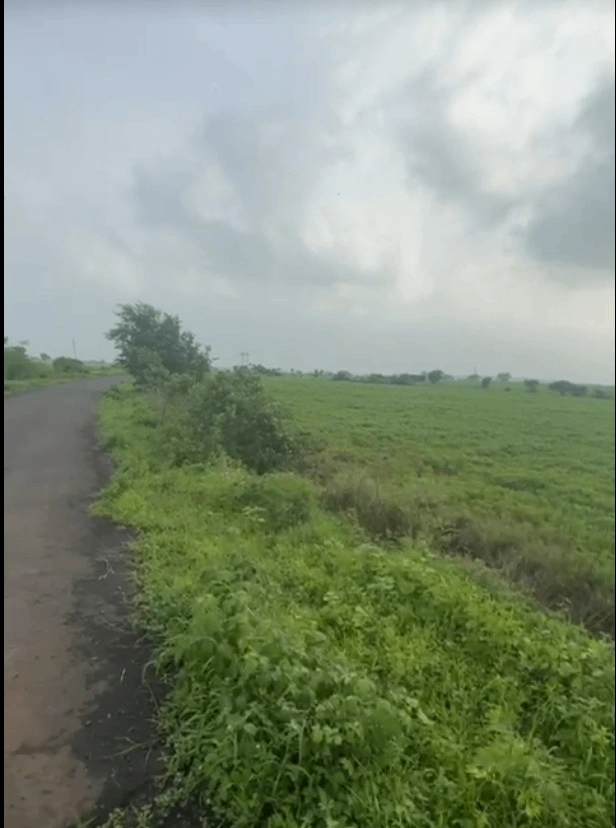 Biaora, Madhya Pradesh 465674, India