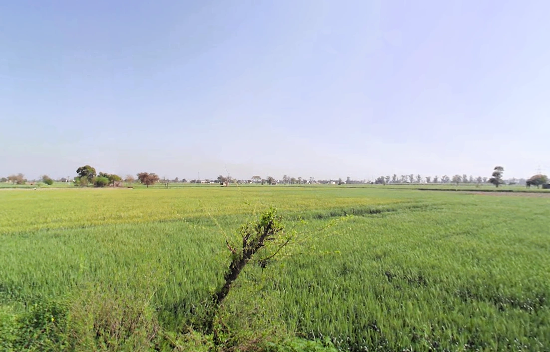 Murthal, Haryana, India