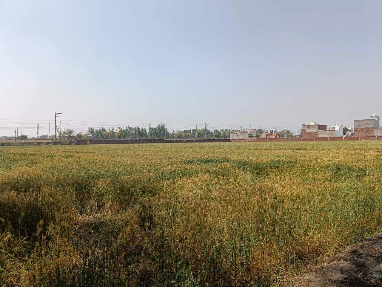 Narayanpur, Rajasthan 301024, India