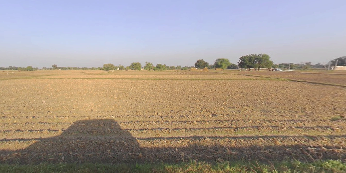 Barnoli, Gujarat, India